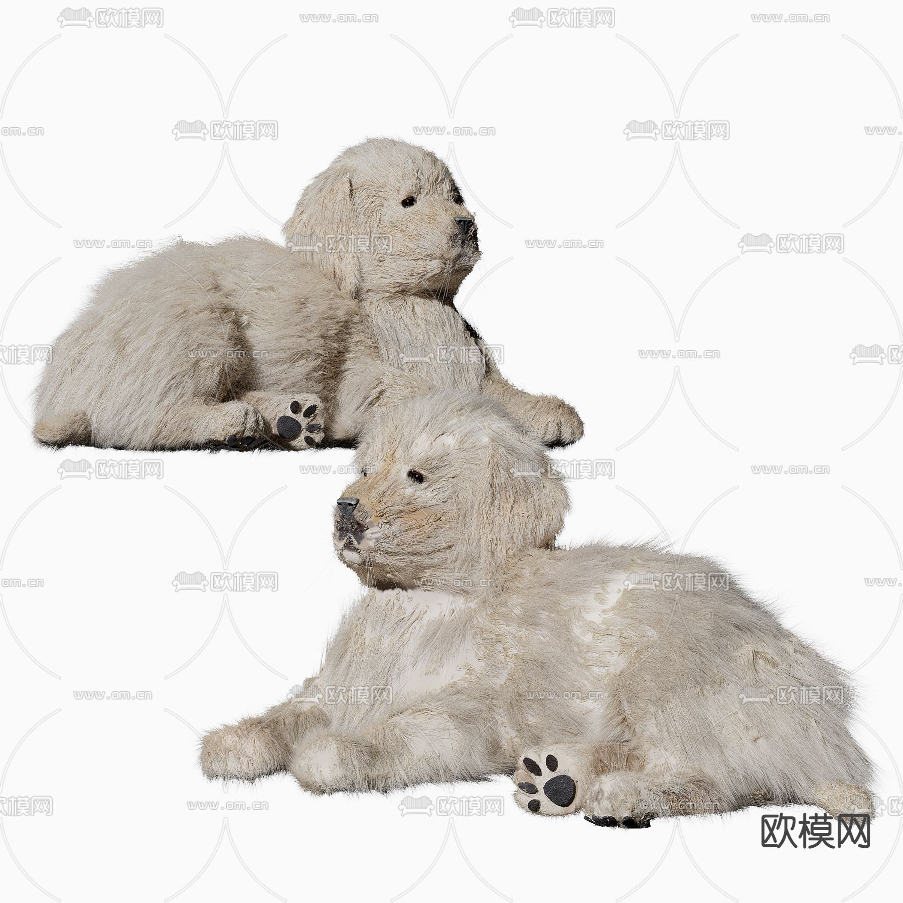 拉布拉多 宠物狗 小狗3d模型下载