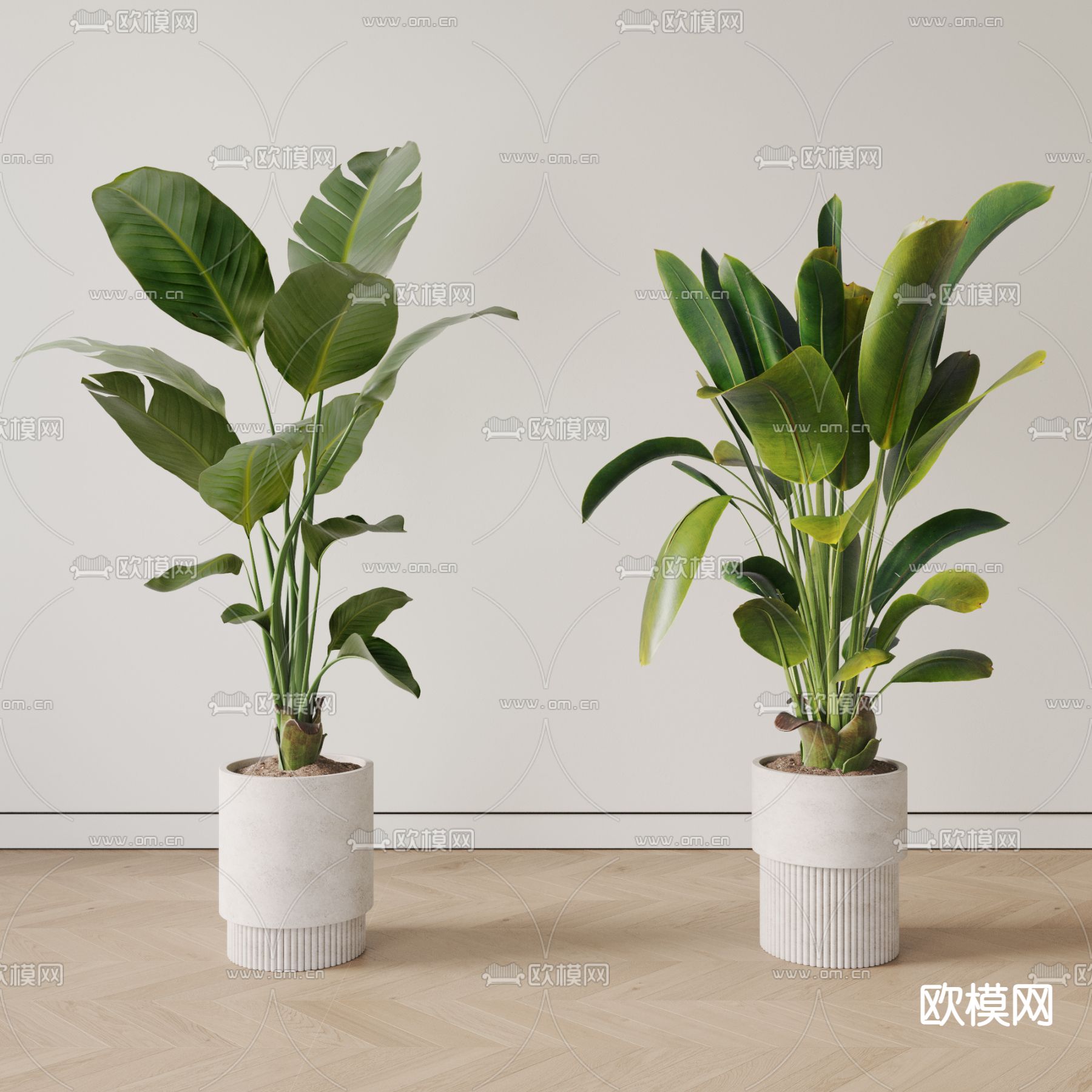植物盆栽 盆景3d模型