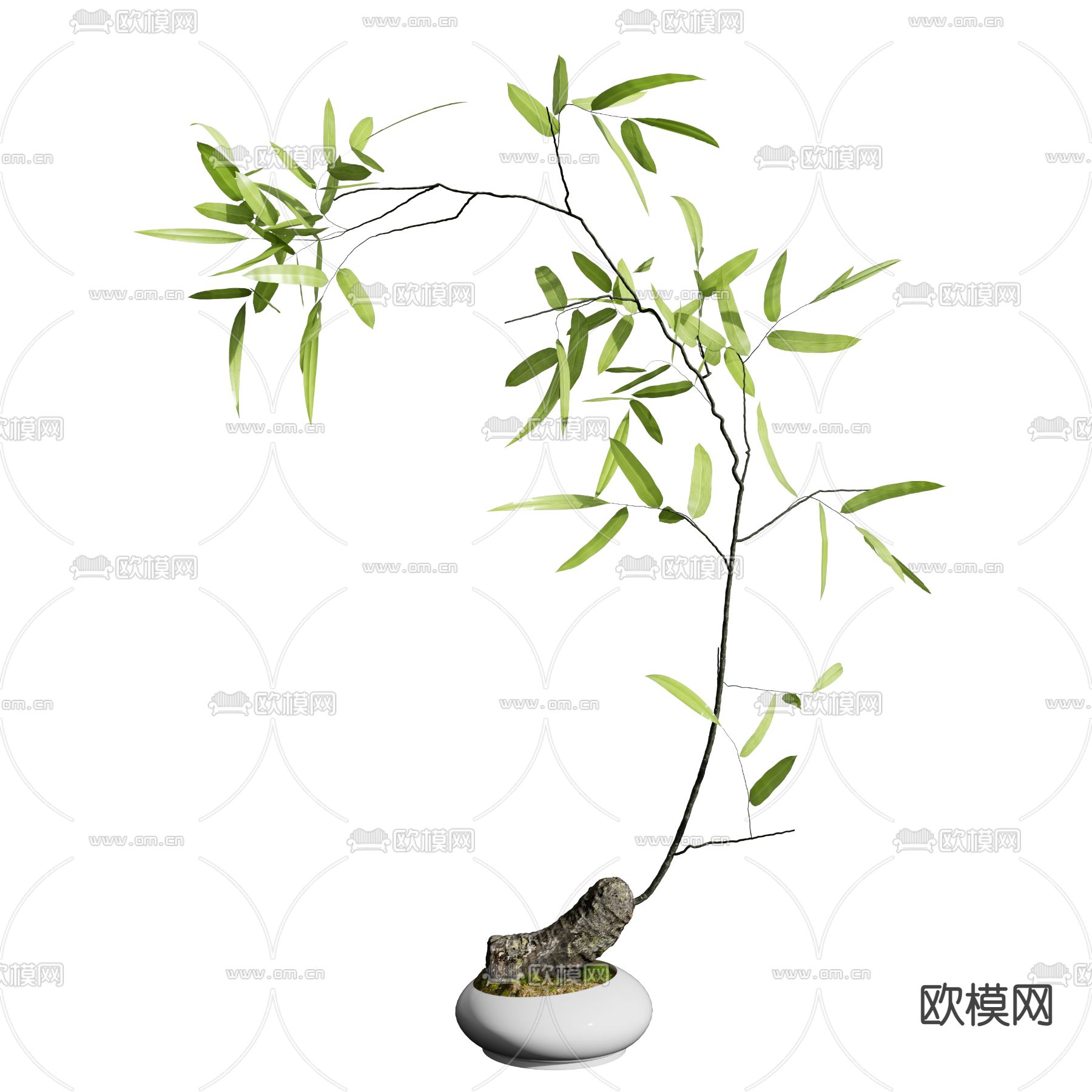 竹子盆栽 盆景3d模型下载