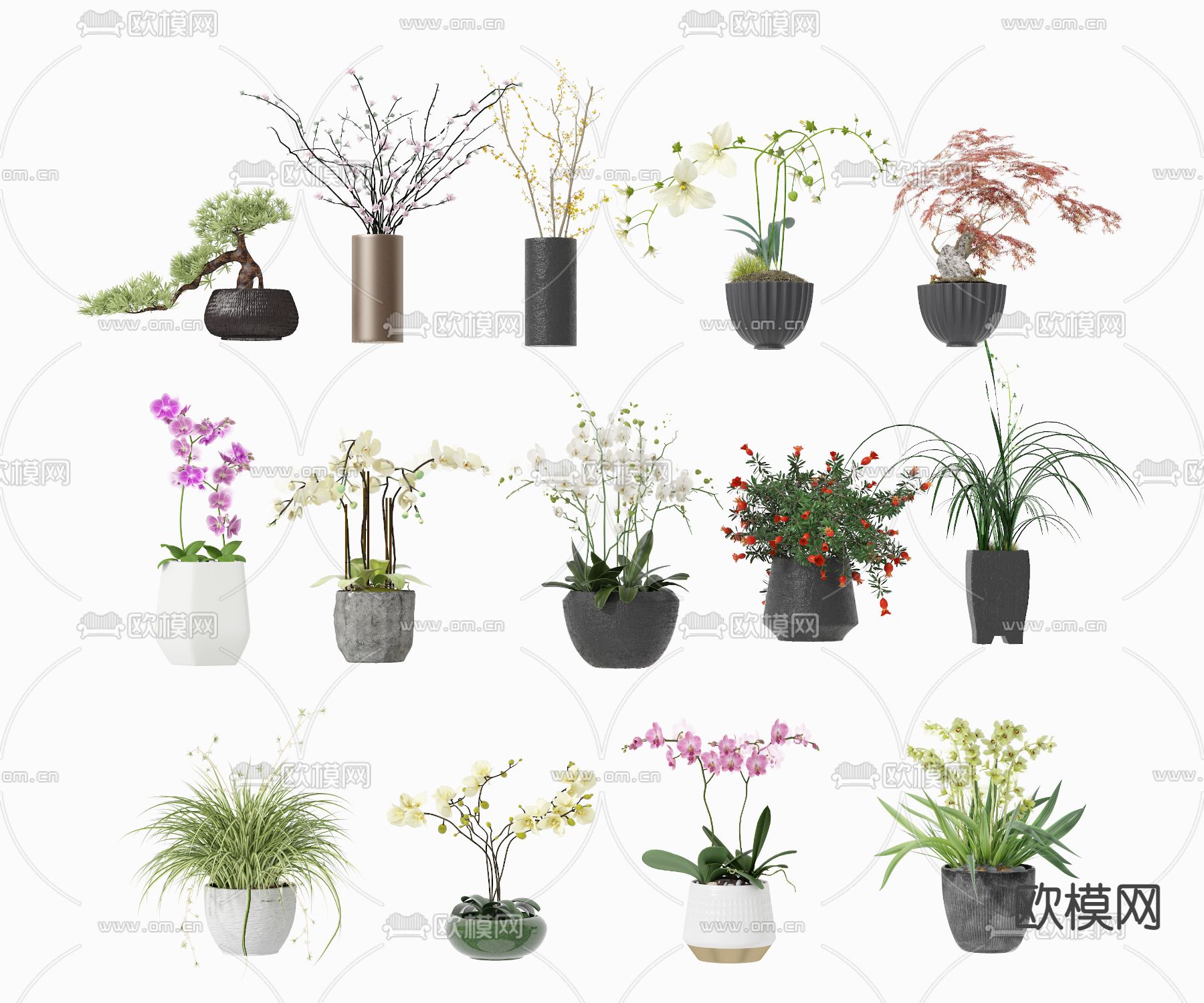 兰花 蝴蝶兰 绿植盆栽3d模型下载_ID12277937_3dmax免费模型-欧模网