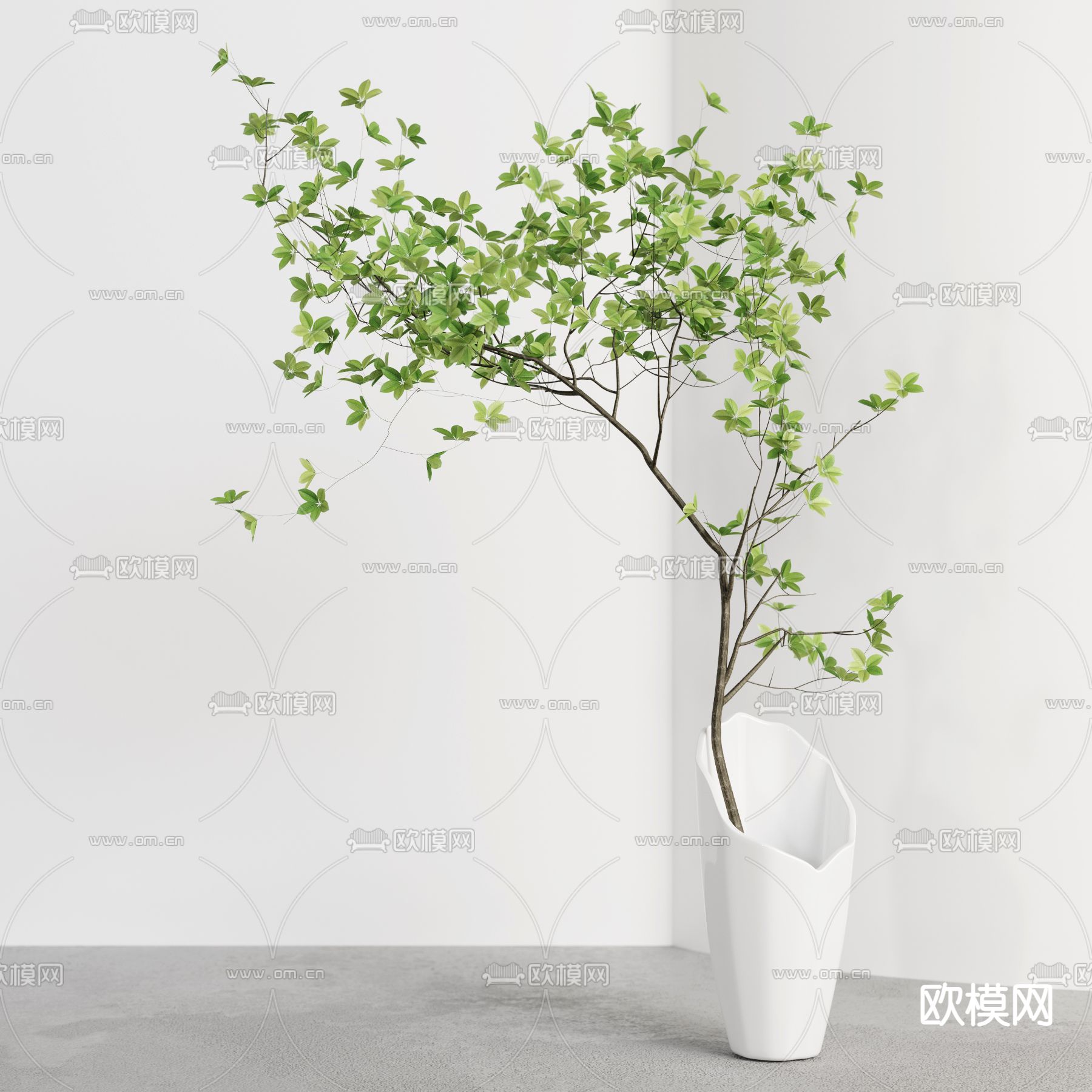 水生植物3d模型下载