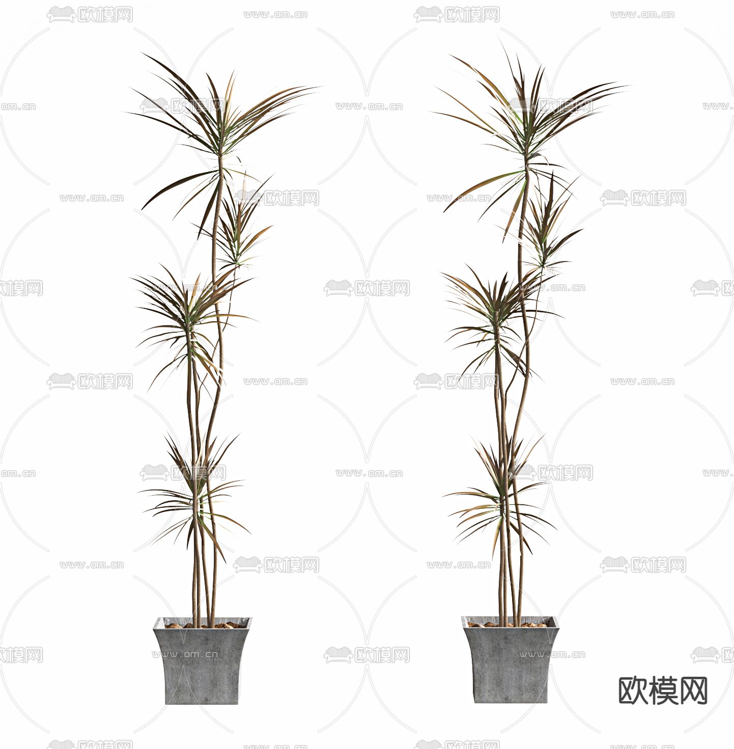 现代植物盆栽su模型