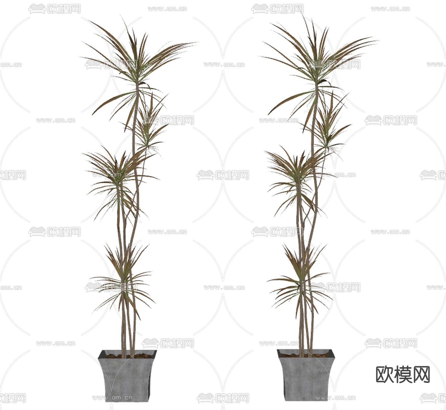 现代植物盆栽su模型