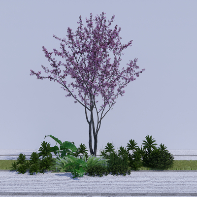  乔木树 植物2d组件su模型 