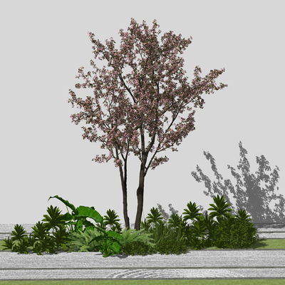  樱花树 植物2d组件su模型 