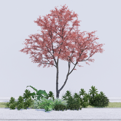  乔木树 植物2d组件su模型 