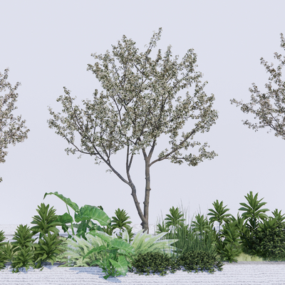  乔木树 植物2d组件su模型 