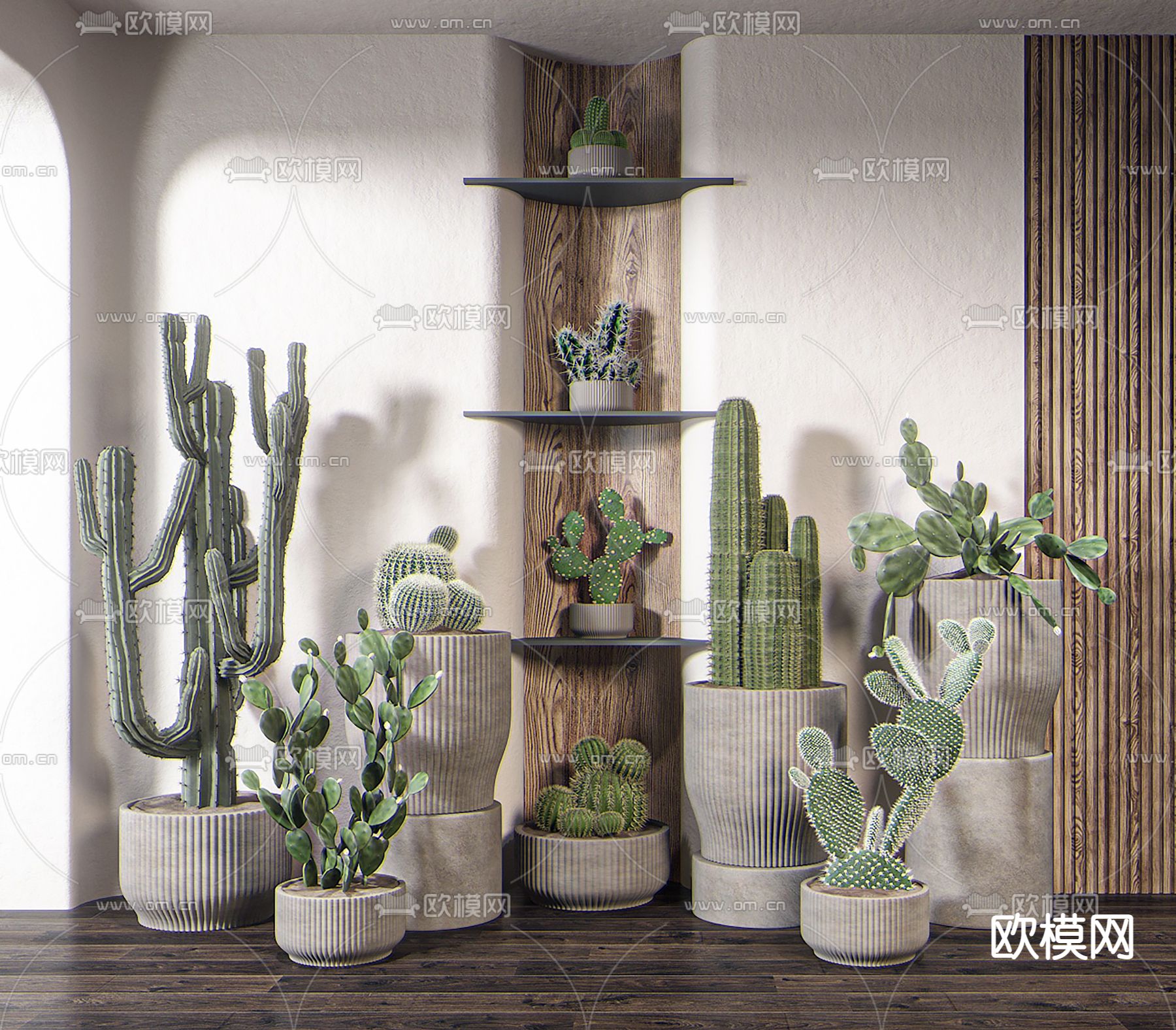 仙人掌盆栽 盆景su模型下载（渲染图1）