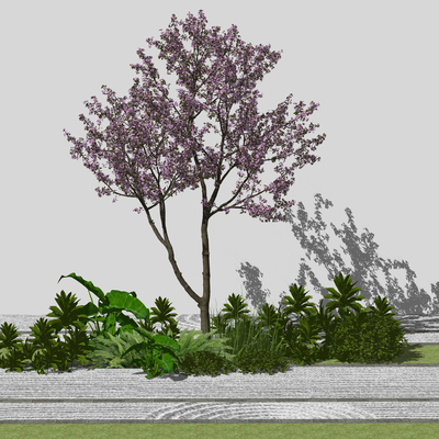  乔木树 植物2d组件su模型 