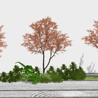  乔木树 植物2d组件su模型 