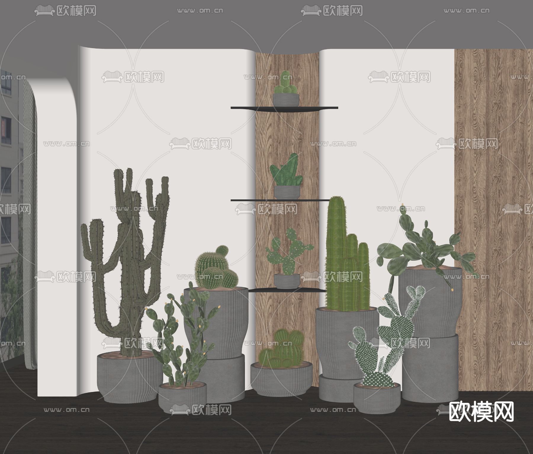 仙人掌盆栽 盆景su模型下载（渲染图2）
