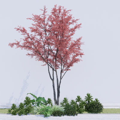  乔木树 植物2d组件su模型 