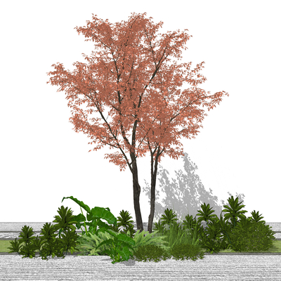  乔木树 植物2d组件su模型 