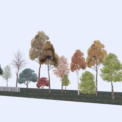  乔木树 植物2d组件su模型 