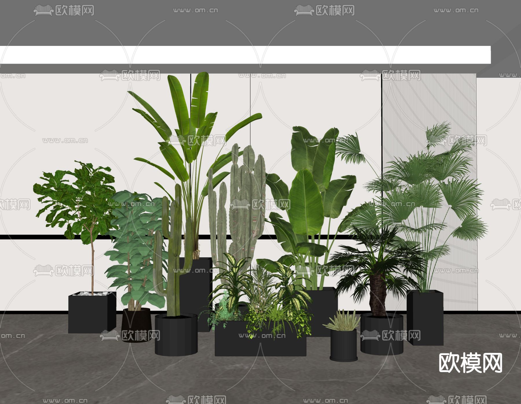 现代植物盆栽 盆景su模型