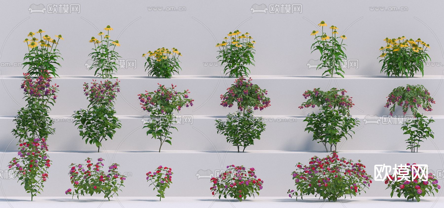 花草 花卉3d模型下载_ID12283261_3dmax免费模型-欧模网