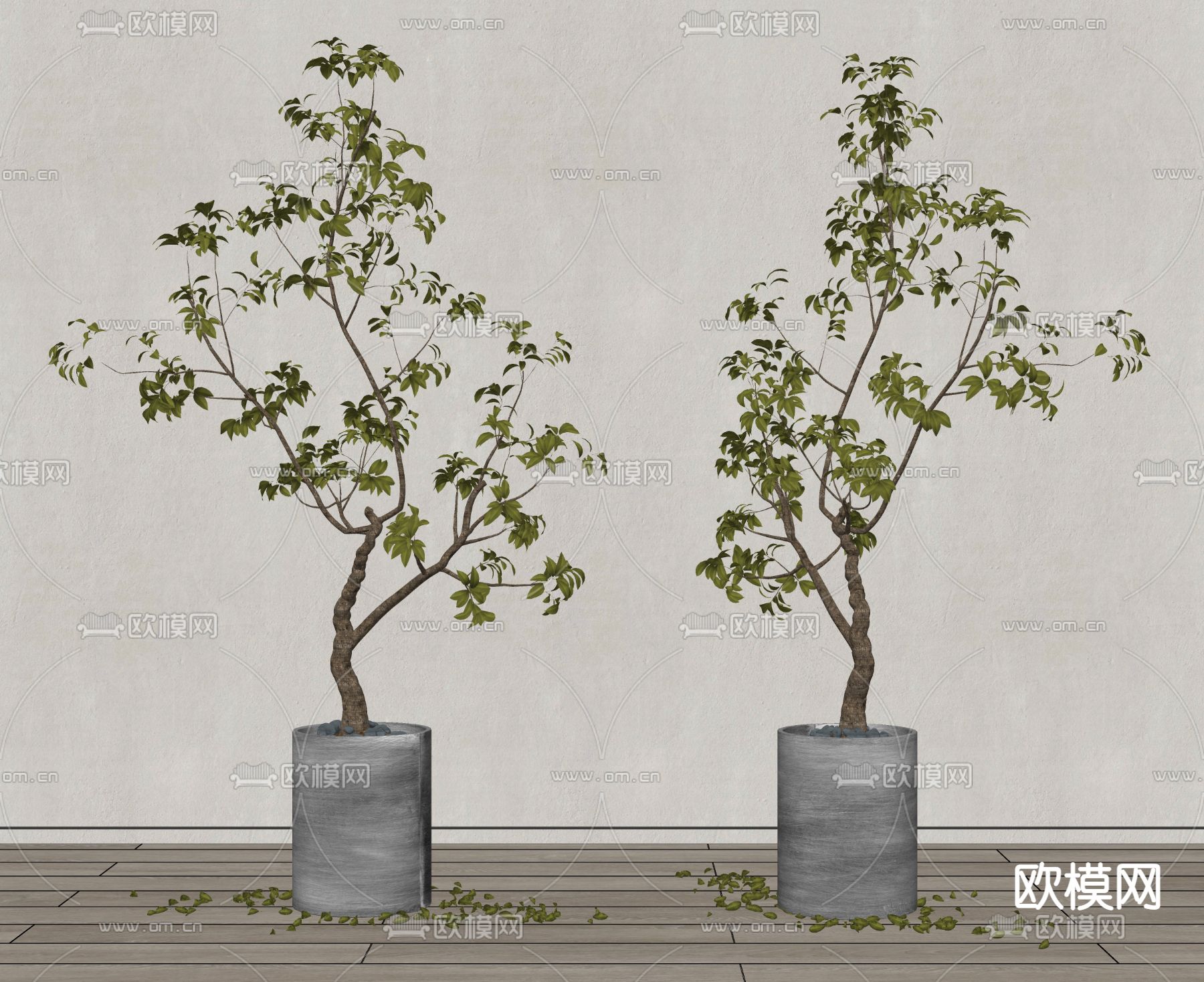 绿植盆栽 盆景su模型下载（渲染图2）