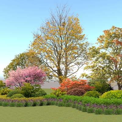 景观树灌木丛 植物堆su模型 