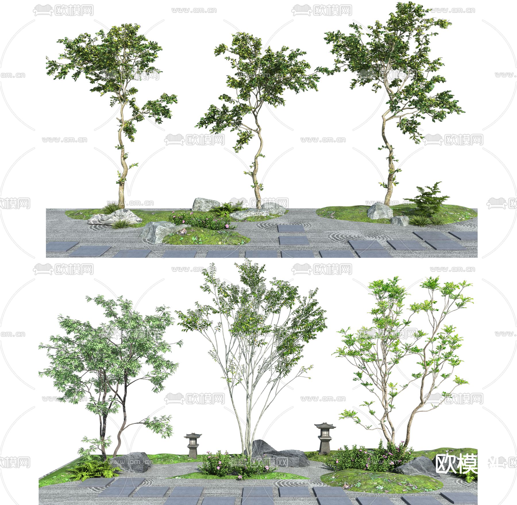 景观树 树木 大树su模型下载（渲染图1）