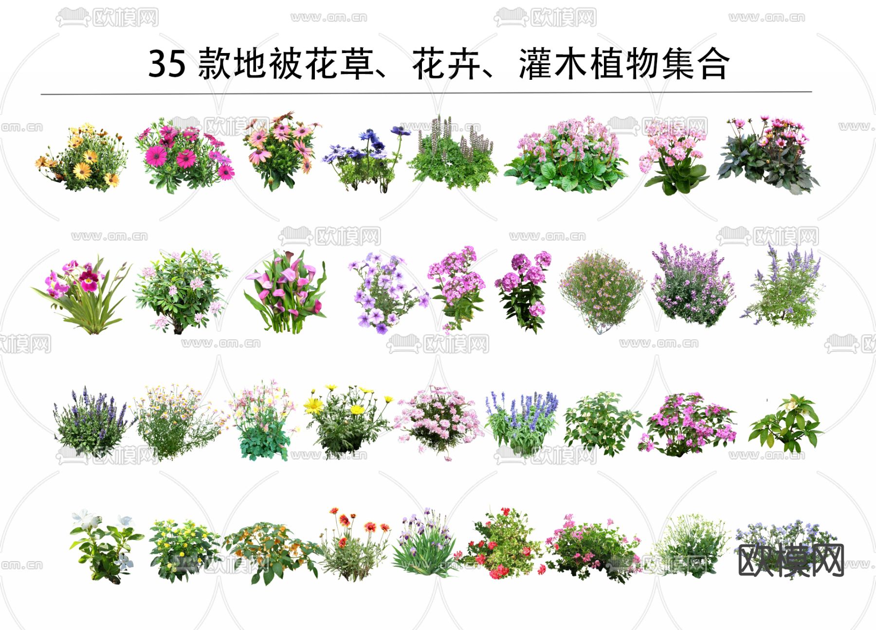 2D灌木花卉植物su模型