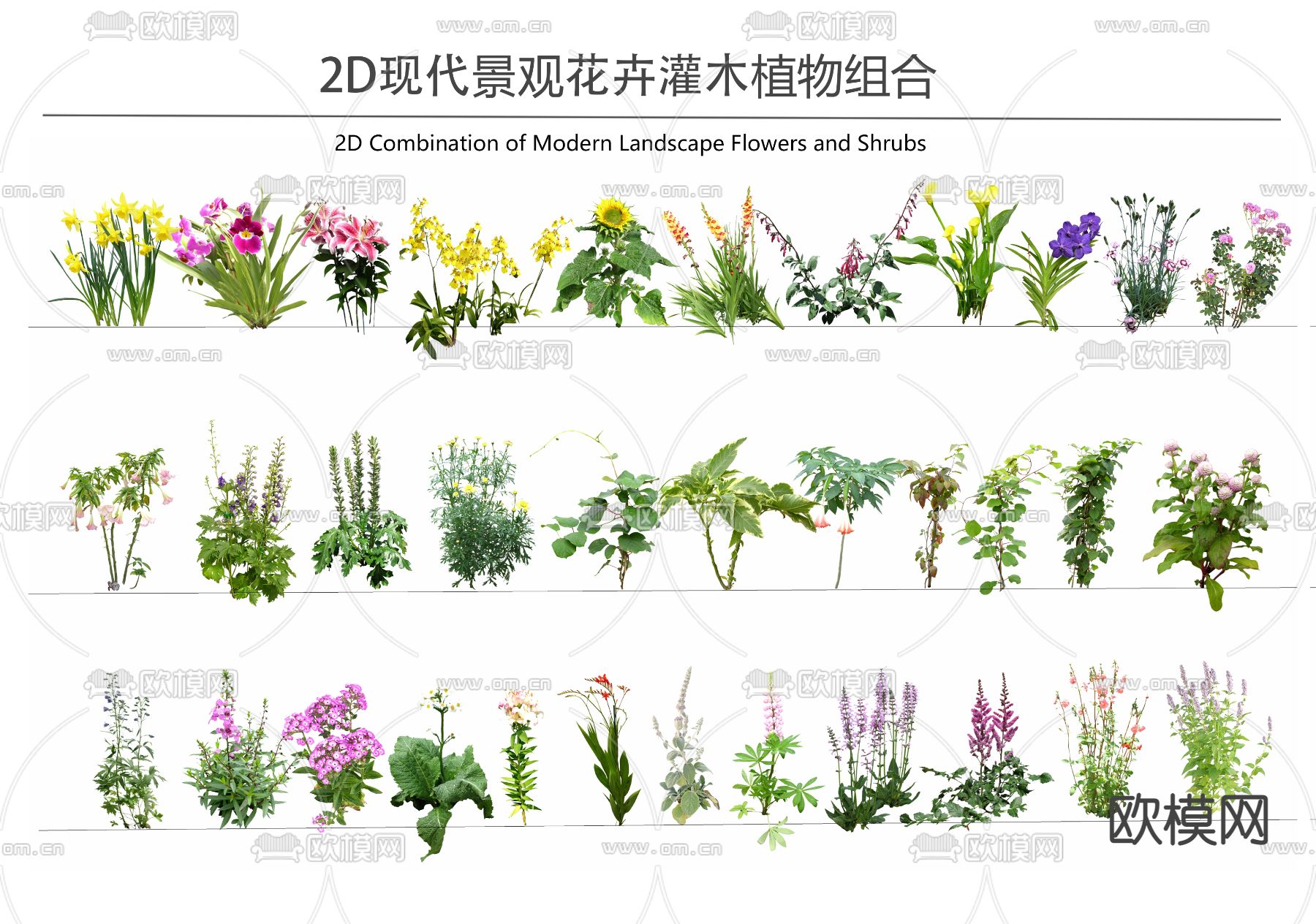 花草花卉2d组件su模型