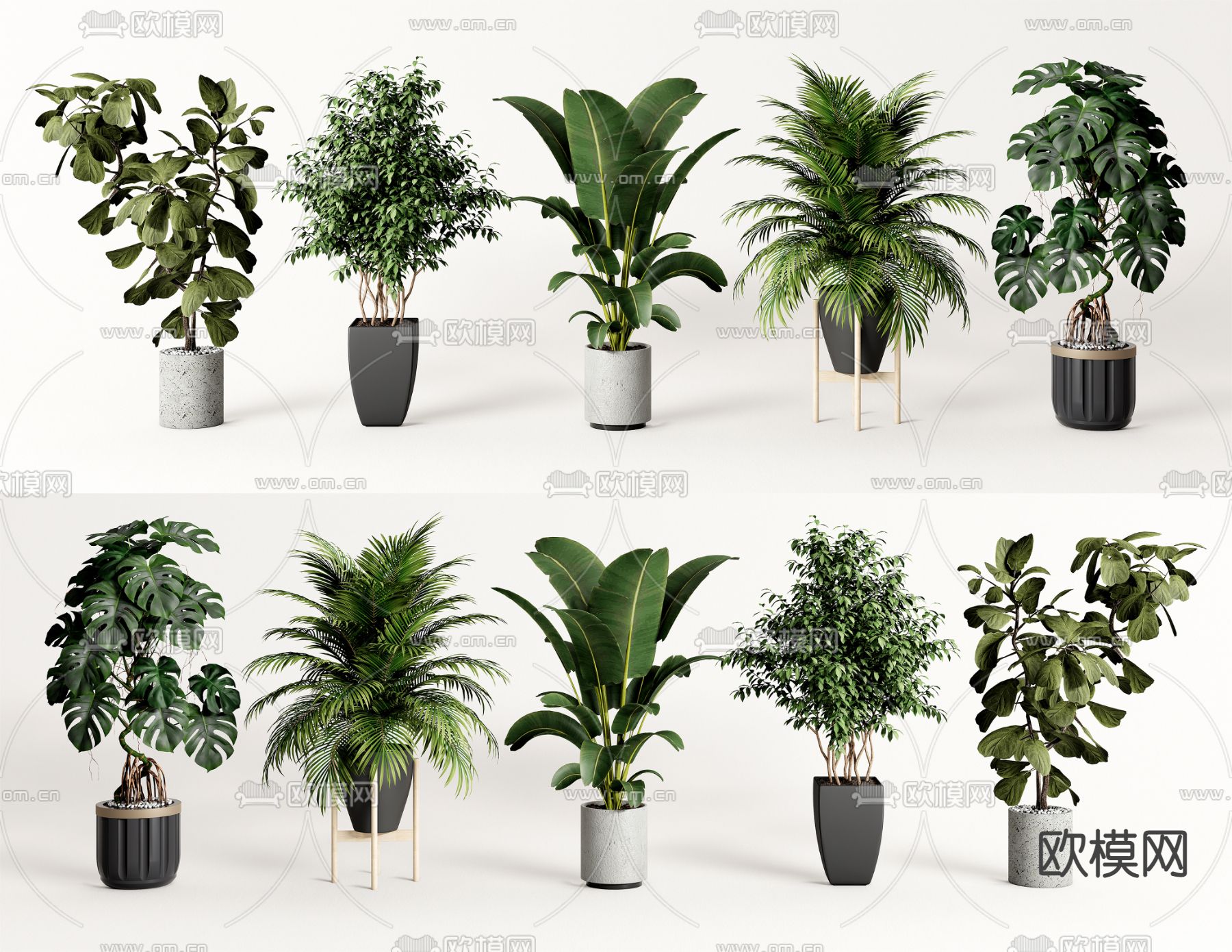 植物盆栽 盆景3d模型