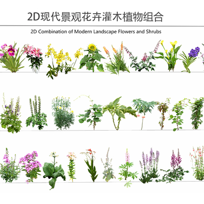  花草花卉2d组件su模型 