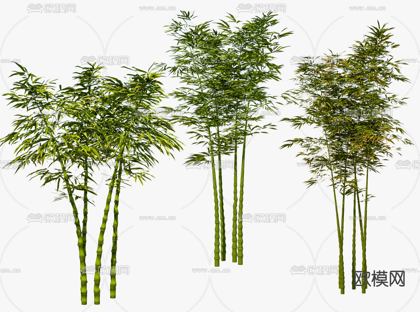 中式竹子su模型下载（渲染图1）