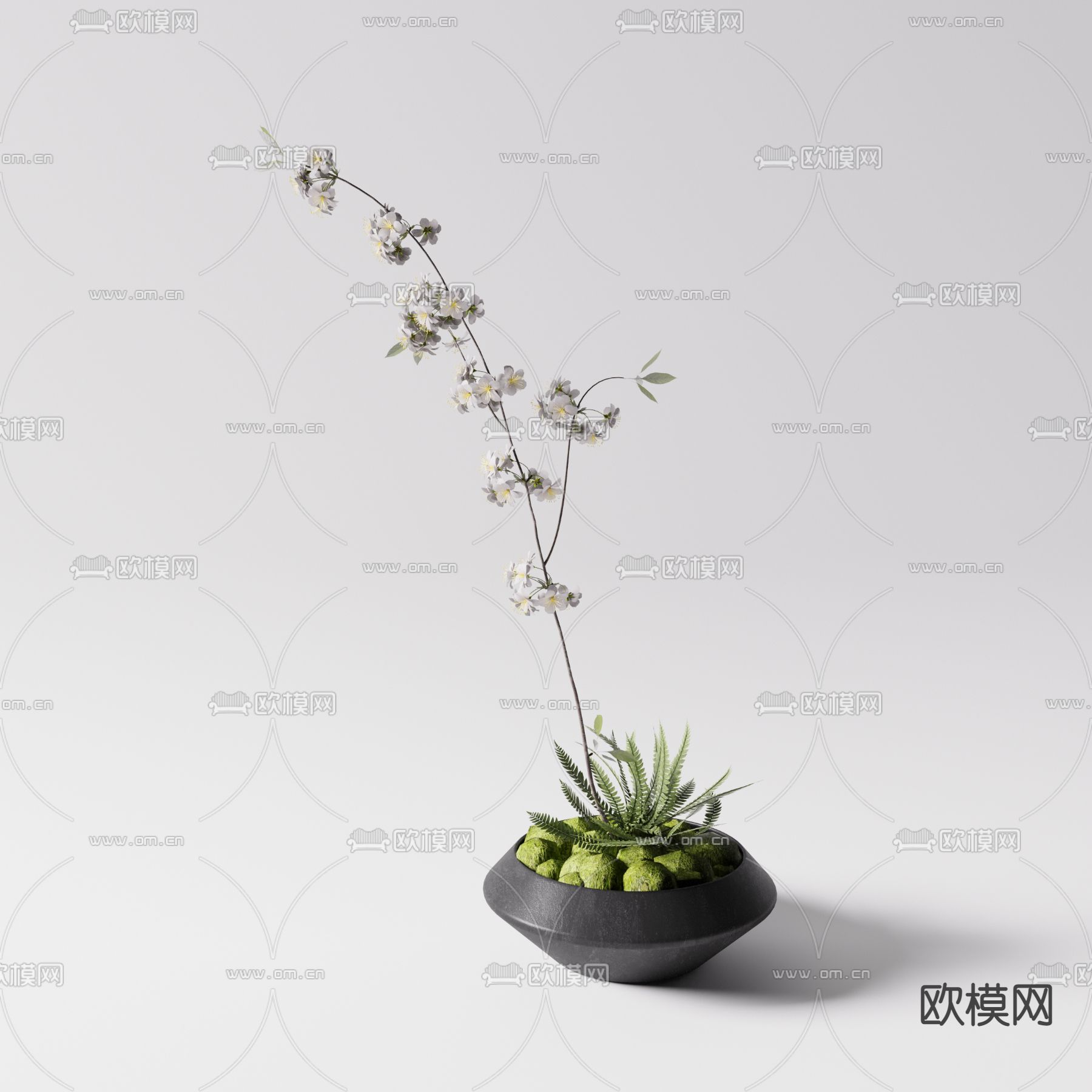 花卉 蕨类植物小盆栽 盆景3d模型下载_ID12292186_3dmax免费模型-欧模网