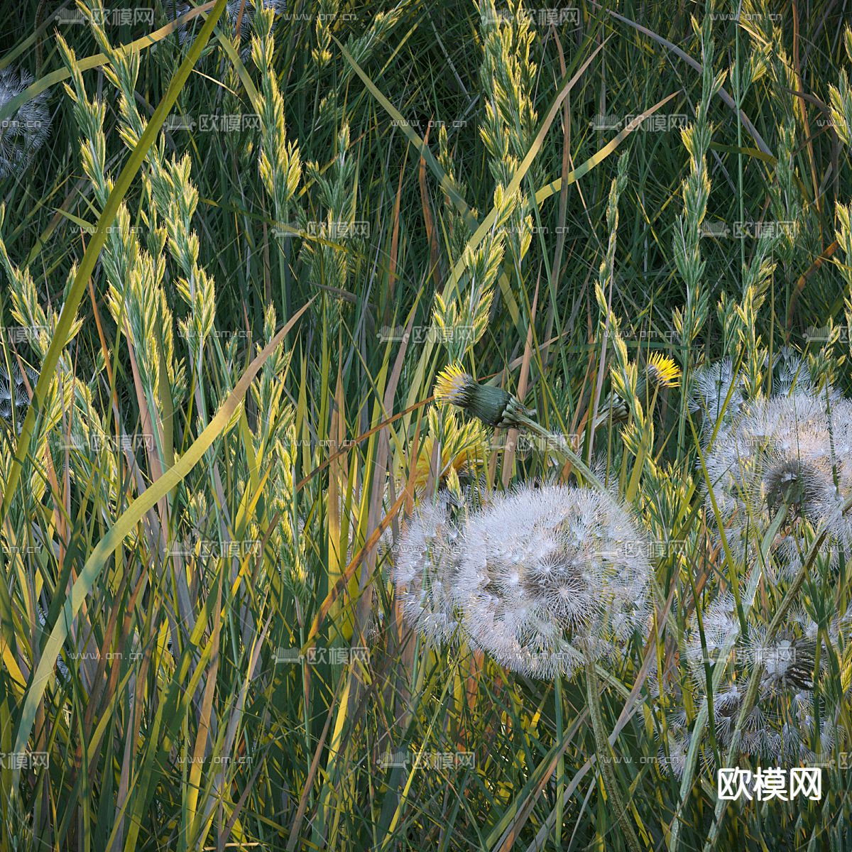 草地 草坪 花草3d模型