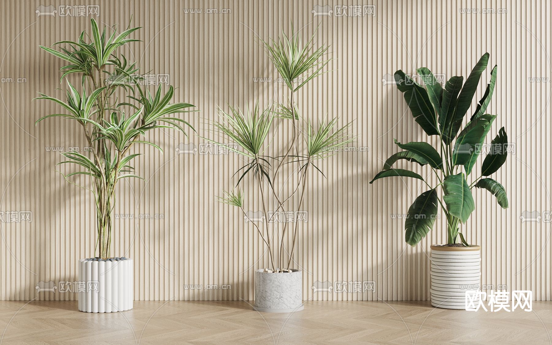 植物盆栽 盆景3d模型