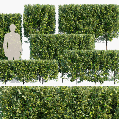  绿植 灌木 草丛 绿篱笆su模型 