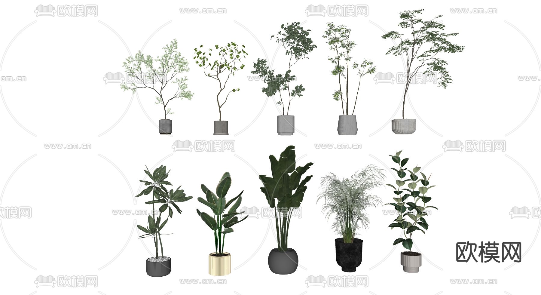 绿植 盆栽su模型下载（渲染图2）