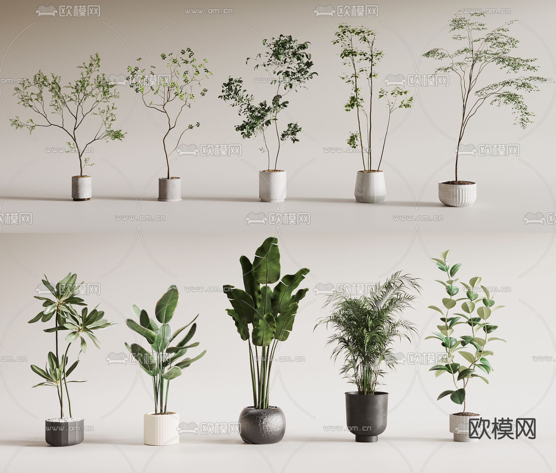 绿植 盆栽su模型下载（渲染图1）