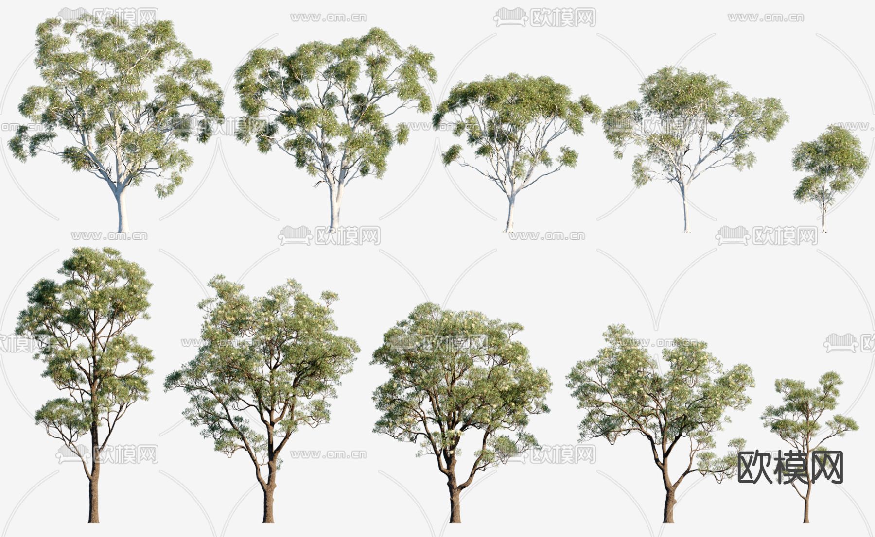景观树 桉树3d模型下载_ID12297200_3dmax免费模型-欧模网