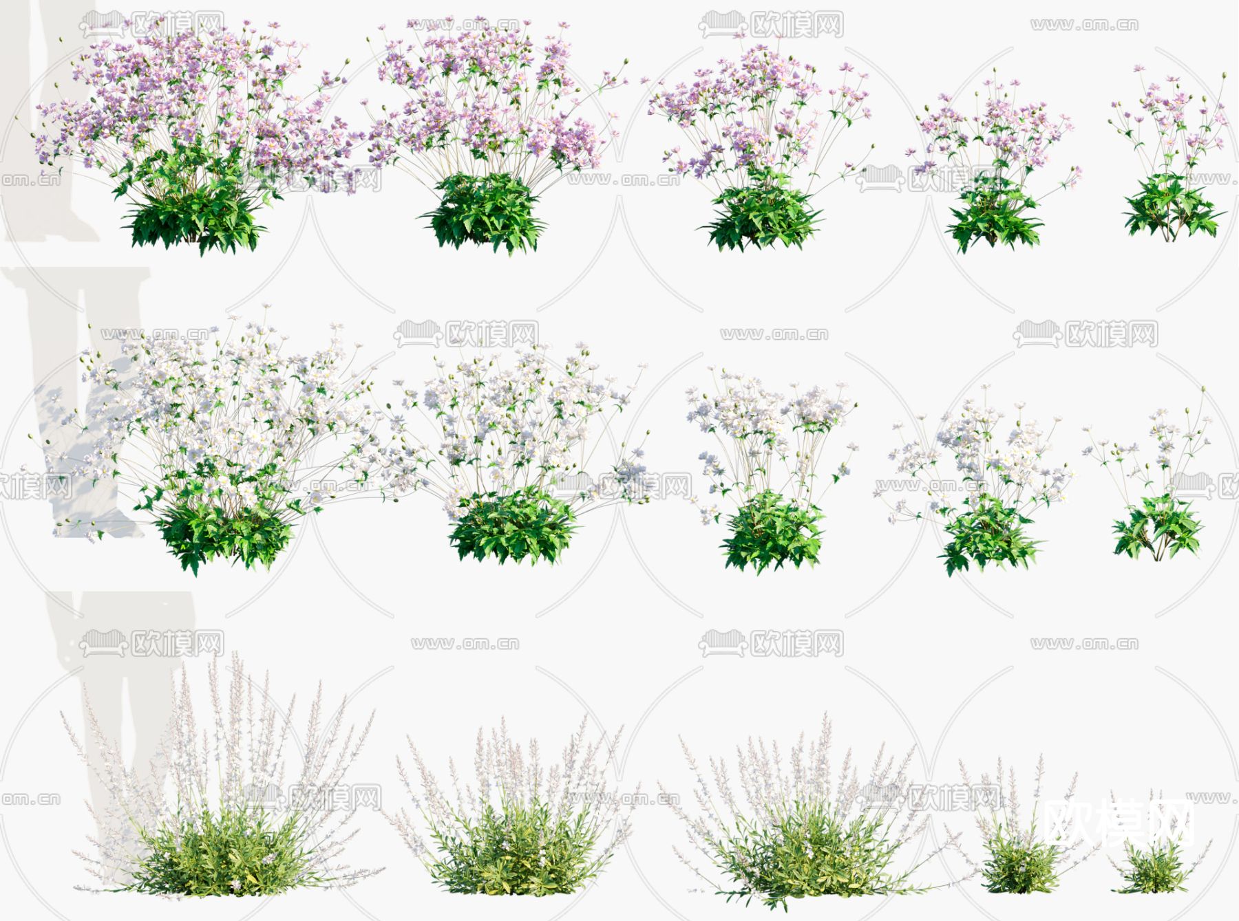 植物 花卉 花草3d模型下载