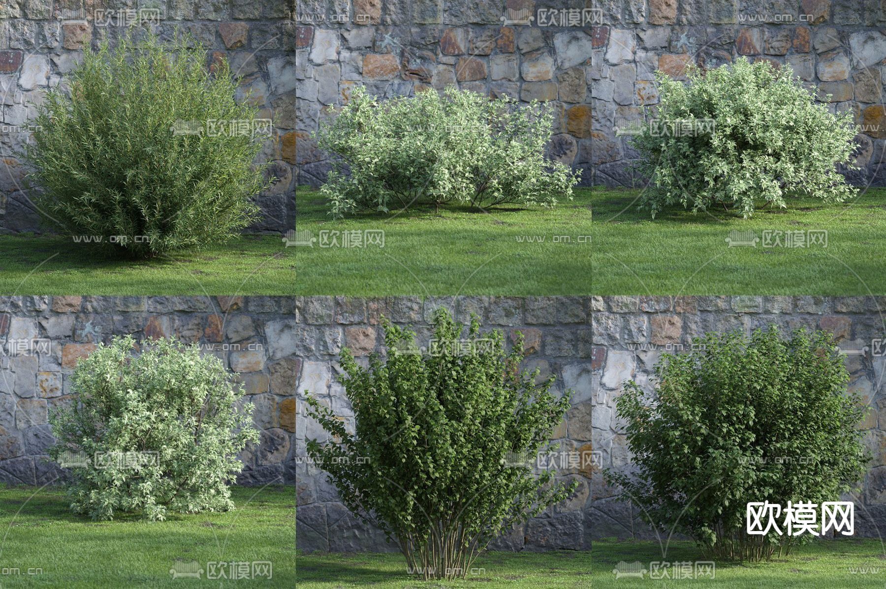 现代园林 绿植 灌木 篱笆su模型下载（渲染图1）
