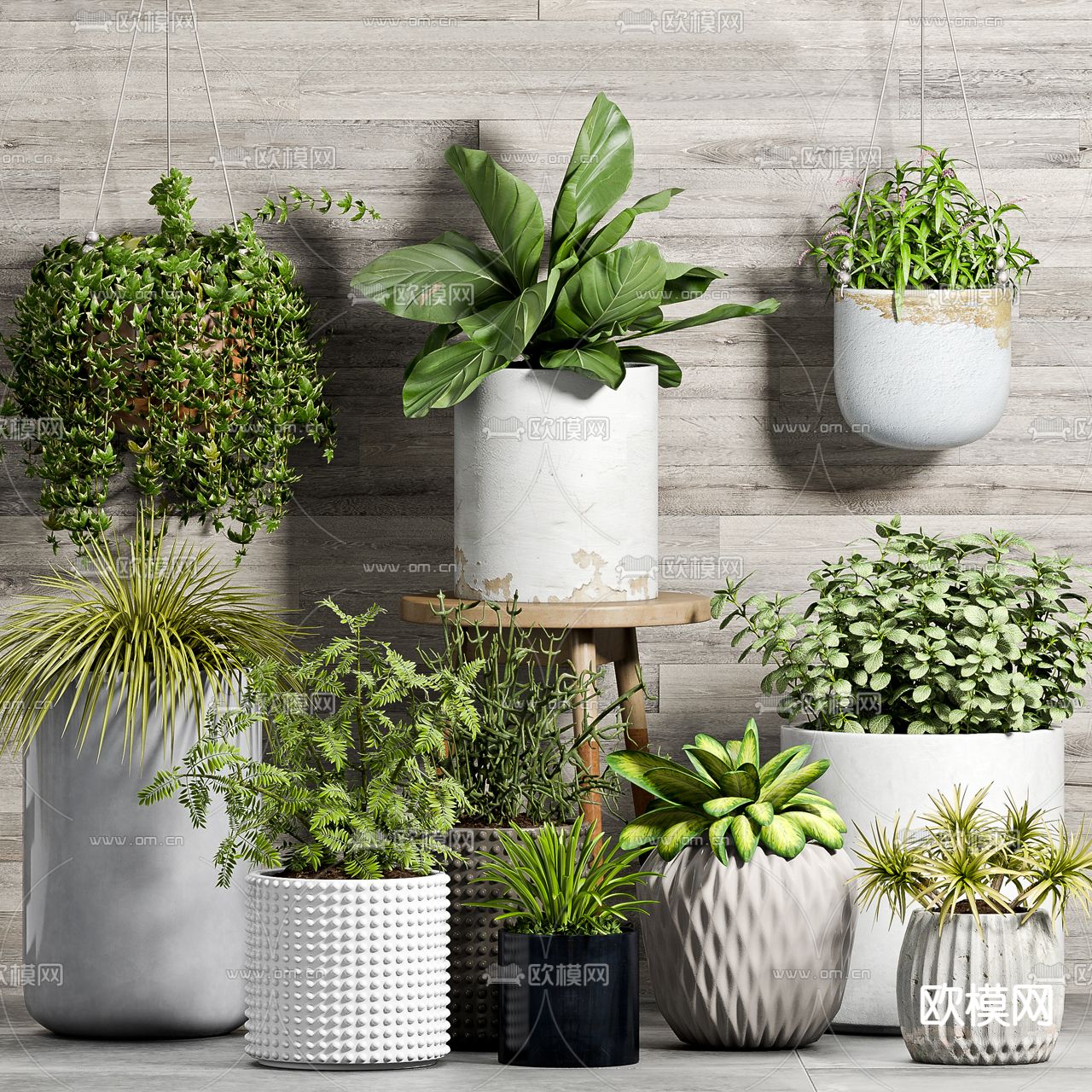 植物绿植 盆栽盆景d模型下载