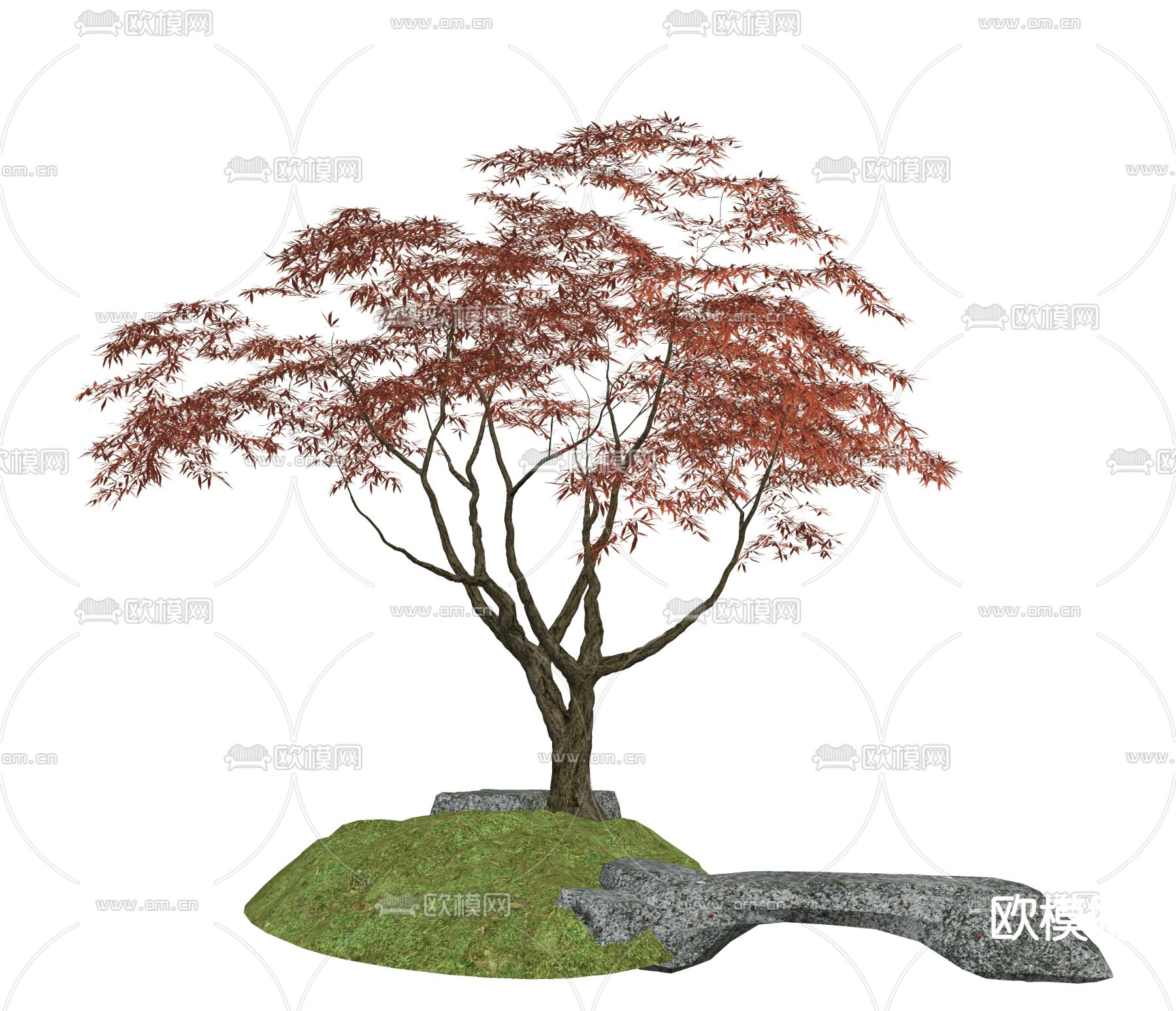 红枫景观树 绿植小品su模型