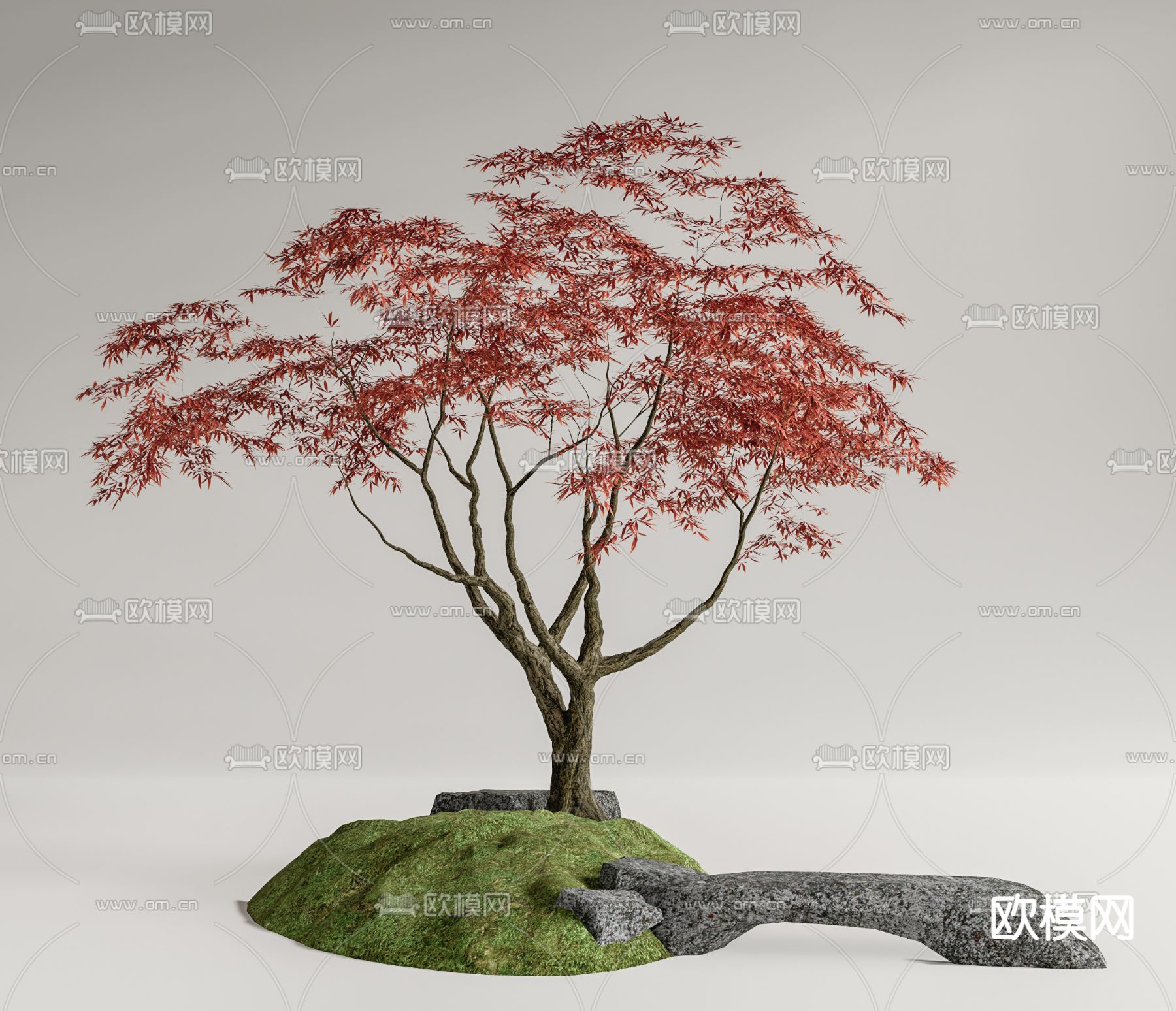红枫景观树 绿植小品su模型