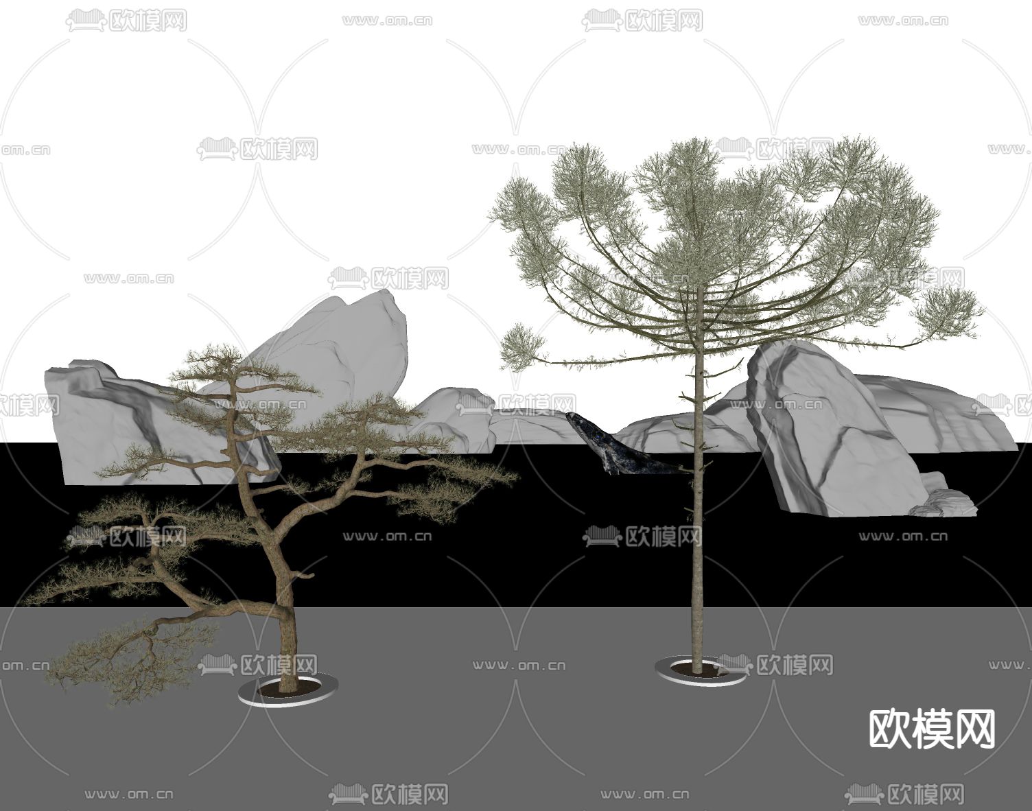 景观树 松树su模型下载（渲染图2）
