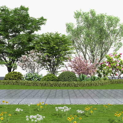  植物堆 景观树 灌木带su模型 