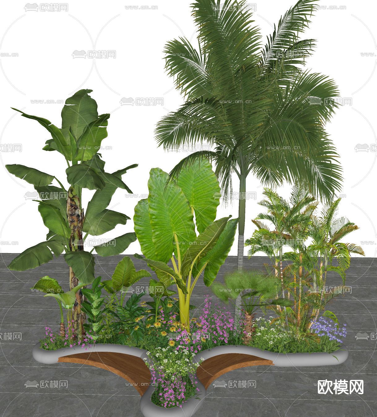 热带植物 植物堆su模型下载（渲染图2）
