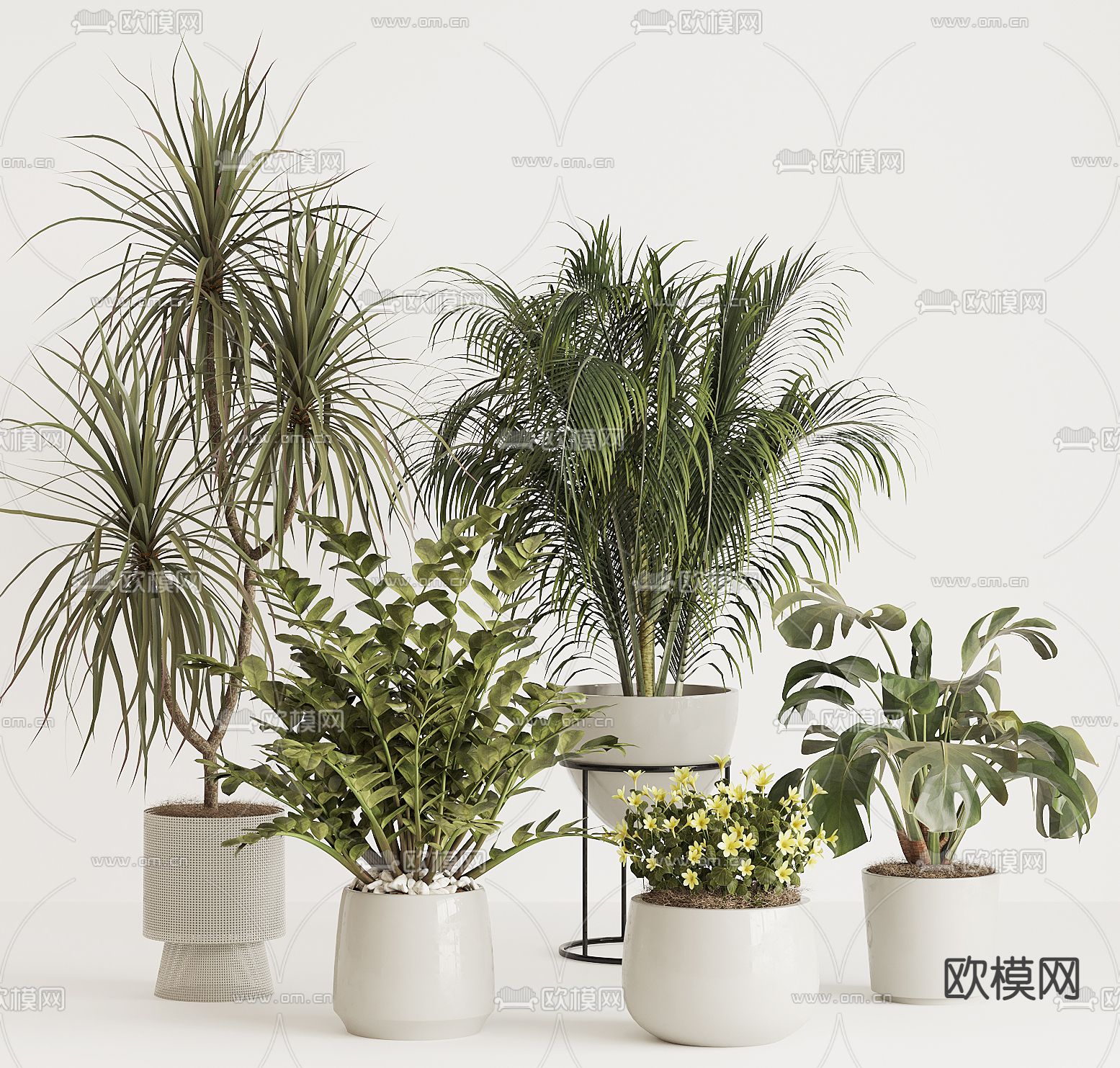 植物盆栽 盆景3d模型下载_ID12303190_3dmax免费模型-欧模网