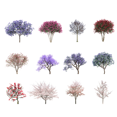  红枫 色叶树 景观树su模型 