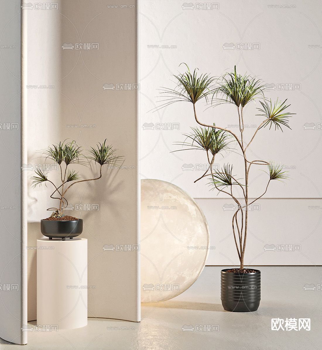 绿植盆栽 盆景3d模型