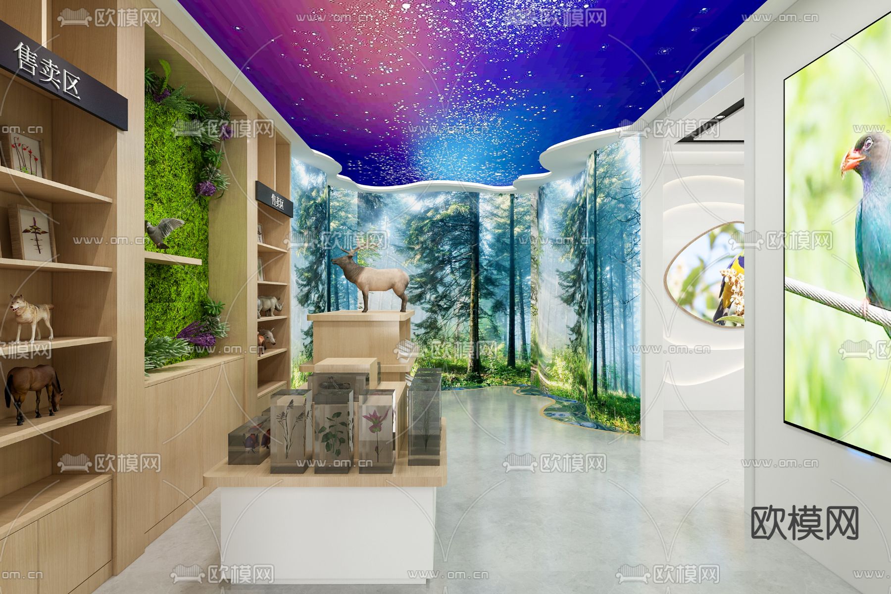 现代动物植物标本展厅su模型