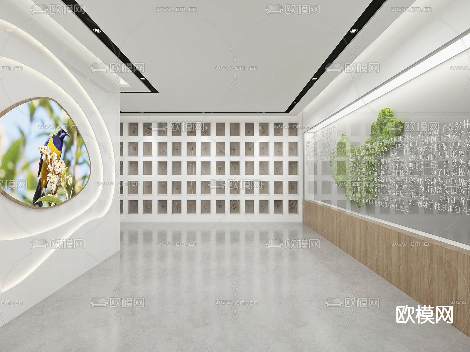 现代动物植物标本展厅su模型