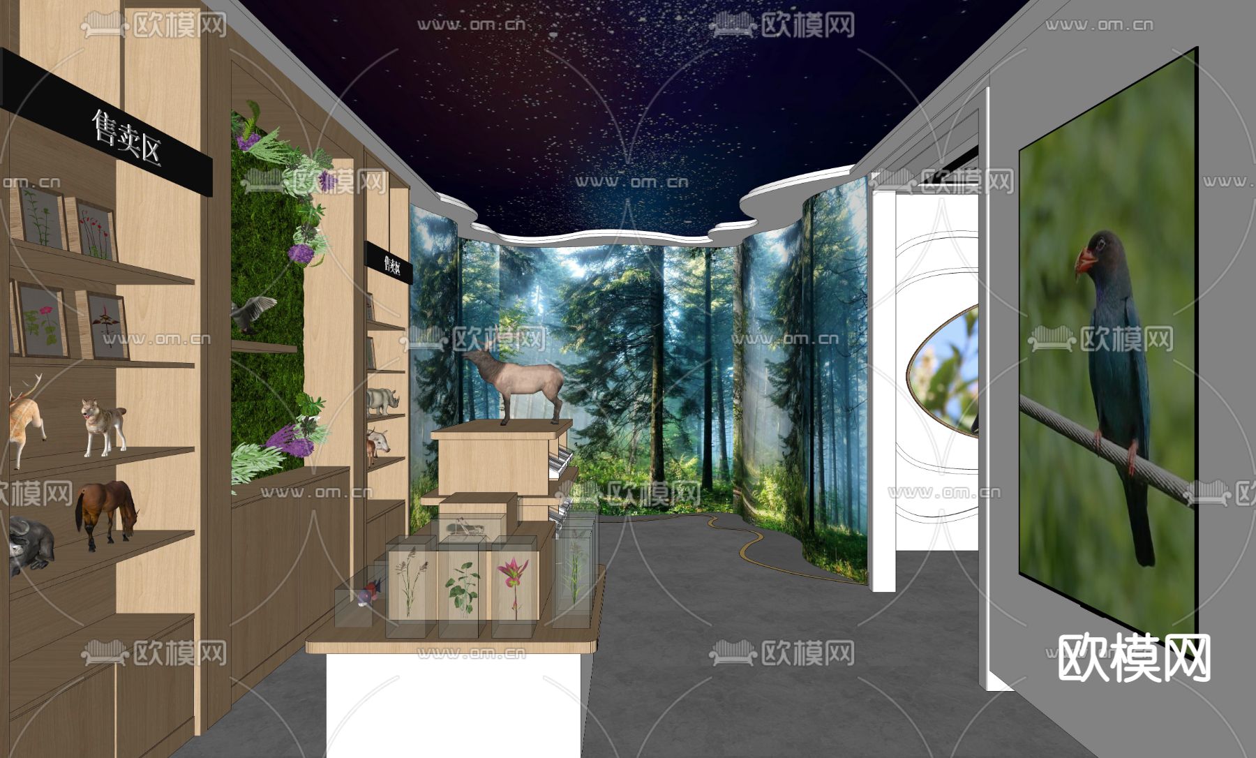 现代动物植物标本展厅su模型