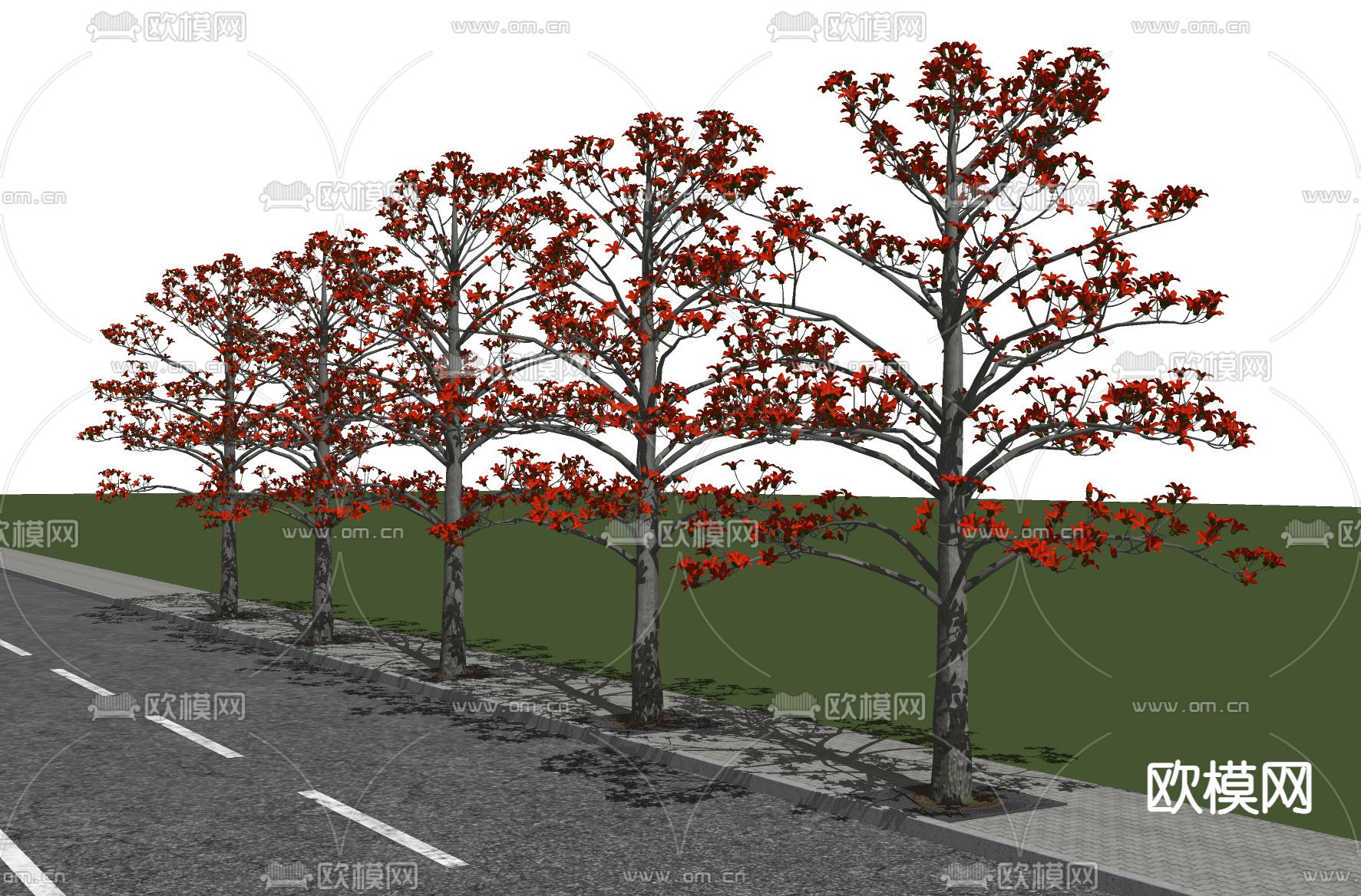 木棉树 景观树 开花树 行道树su模型